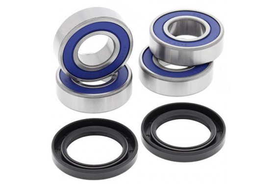 Roulements Triangle de Suspension Arrière Indépendants All Balls pour SSV Can Am Commander 1000 (16-17) - 50-1079