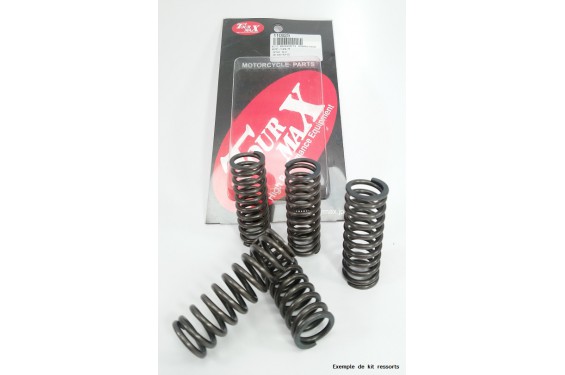 Kit ressorts d'embrayage moto Tourmax pour Sprint ST 1050 (05-09) - HSP-303-5 Kit ressorts d'embrayage moto Tourmax pour Sprint ST 1050 (05-09) - HSP-303-5