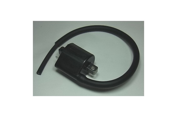 Bobine d'Allumage Cylindre Arrière pour V-Strom 650 (04-06) - IGN-312