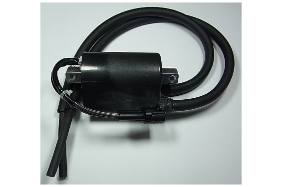 Bobine d'Allumage Cylindre Avant pour V-Strom 650 (07-10) - IGN-313 Bobine d'Allumage Cylindre Avant pour V-Strom 650 (07-10) - IGN-313