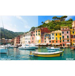 Lunette de soleil OAKLEY Holbrook Valentino Rossi Verres PRIZM Black Polarized