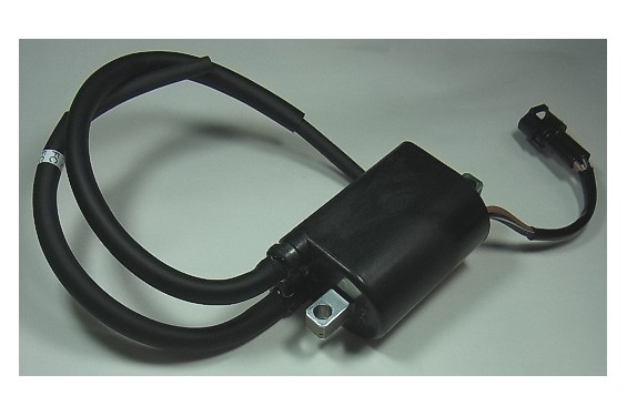 Bobine d'Allumage Cylindre Avant pour SV 650 (07-10) - IGN-301