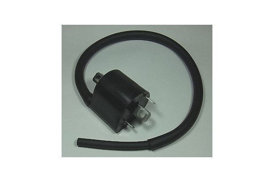 Bobine d'Allumage Avant Gauche pour VL 800 Intruder (01-13) VZ 800 Marauder (05-09) - IGN-310
