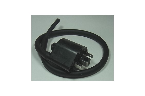 Bobine d'Allumage Cylindre Avant pour V-Strom 1000 (02-10) - IGN-303
