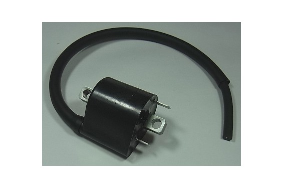 Bobine d'Allumage Cylindre Arrière Moto pour V-Strom 1000 (02-10) - IGN-304