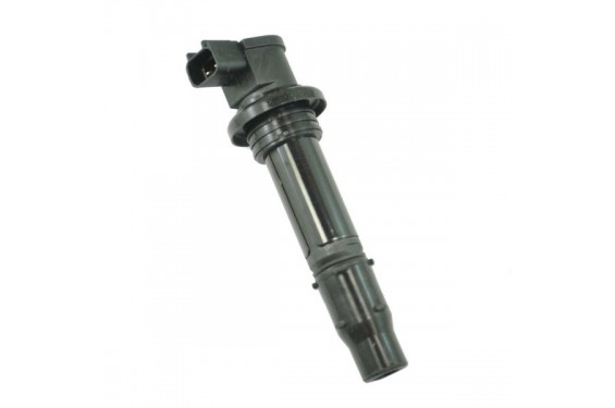 Bobine d'Allumage Moto pour FZ1 (06-16) - IGN-215P
