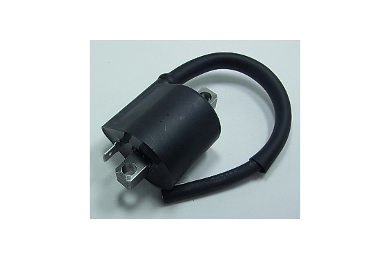 Bobine d'Allumage pour Kawasaki KX250 (95-02) - IGN-424 Bobine d'Allumage pour Kawasaki KX250 (95-02) - IGN-424