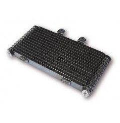 Radiateur d'huile pour Suzuki 1200 Bandit (01-05)