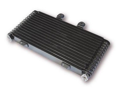 Radiateur d'huile pour Suzuki 1200 Bandit (01-05)