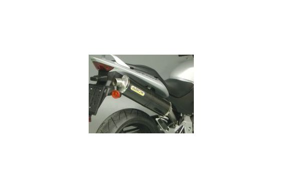 Silencieux ARROW Race-Tech pour Honda 600 Hornet (03-06)