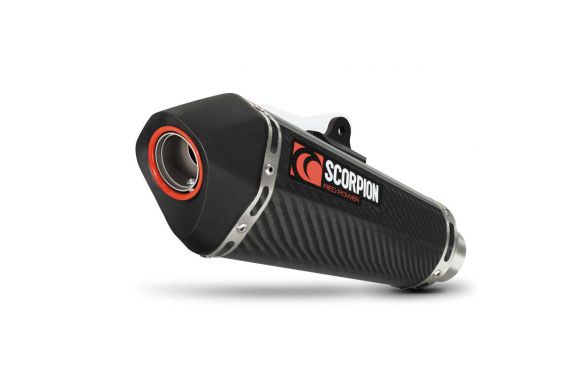 Silencieux d'échappement Moto Scorpion Serket Carbone pour BMW S1000 RR (15-19)