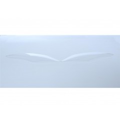 Écran de Protection Optique Avant R&G pour BMW S 1000 XR (15-19) - HLS0030CL