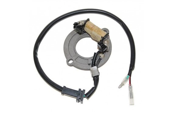 Stator d'Allumage pour CR60R (83-86)