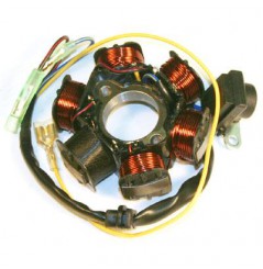 Stator d'Allumage pour CRF100F (04-09)