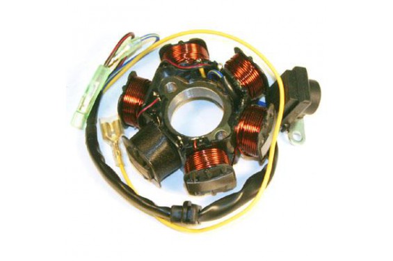 Stator d'Allumage pour CRF100F (04-09)