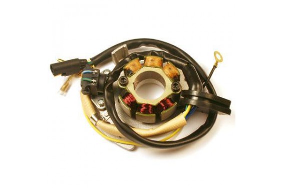 Stator d'Allumage pour XR350R