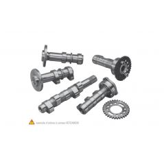 Arbre à Cames Quad HOTCAMS Stage 1 pour Polaris SCRAMBLER / SPORTSMAN / RANGER / HAWKEYE (98-14)
