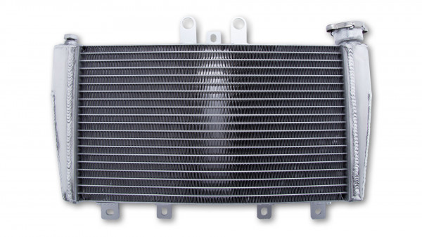 Radiateur d'Eau pour Triumph Speed Triple 1050 (05-10)