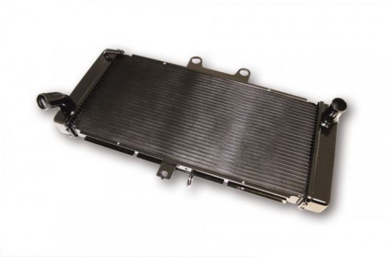 Radiateur d'Eau pour Suzuki Bandit 650 (08-11)