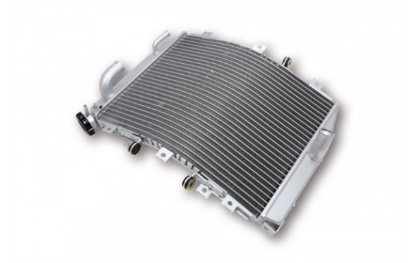 Radiateur d'Eau pour Kawasaki ZX-10 R (04-05)