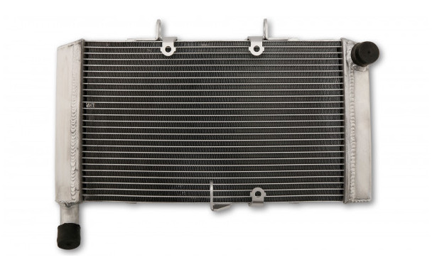 Radiateur d'Eau pour Honda CBR 600 F (11-13)