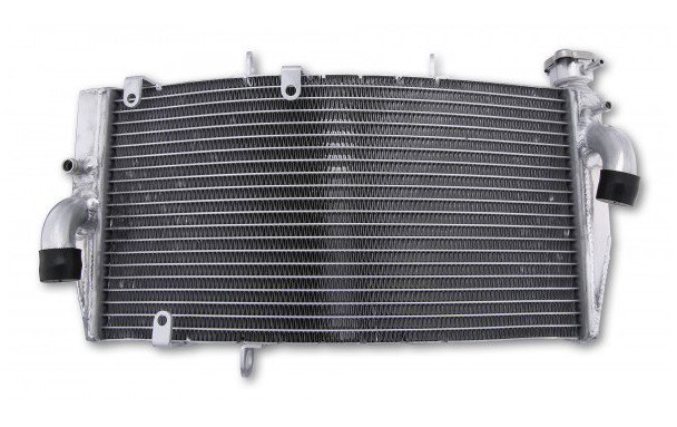 Radiateur d'Eau pour CBR 900 RR "929" Fireblade (00-01)