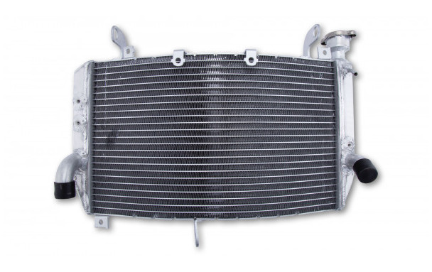 Radiateur d'Eau pour Yamaha R1 / R1M (15-20)