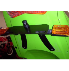 Support de Plaque R&G pour Kawasaki Z1000 (03-06) - LP0001BK