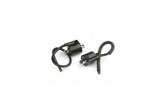 Bobine d'Allumage pour 125 Doodo (2000) Bobine d'Allumage pour 125 Doodo (2000)
