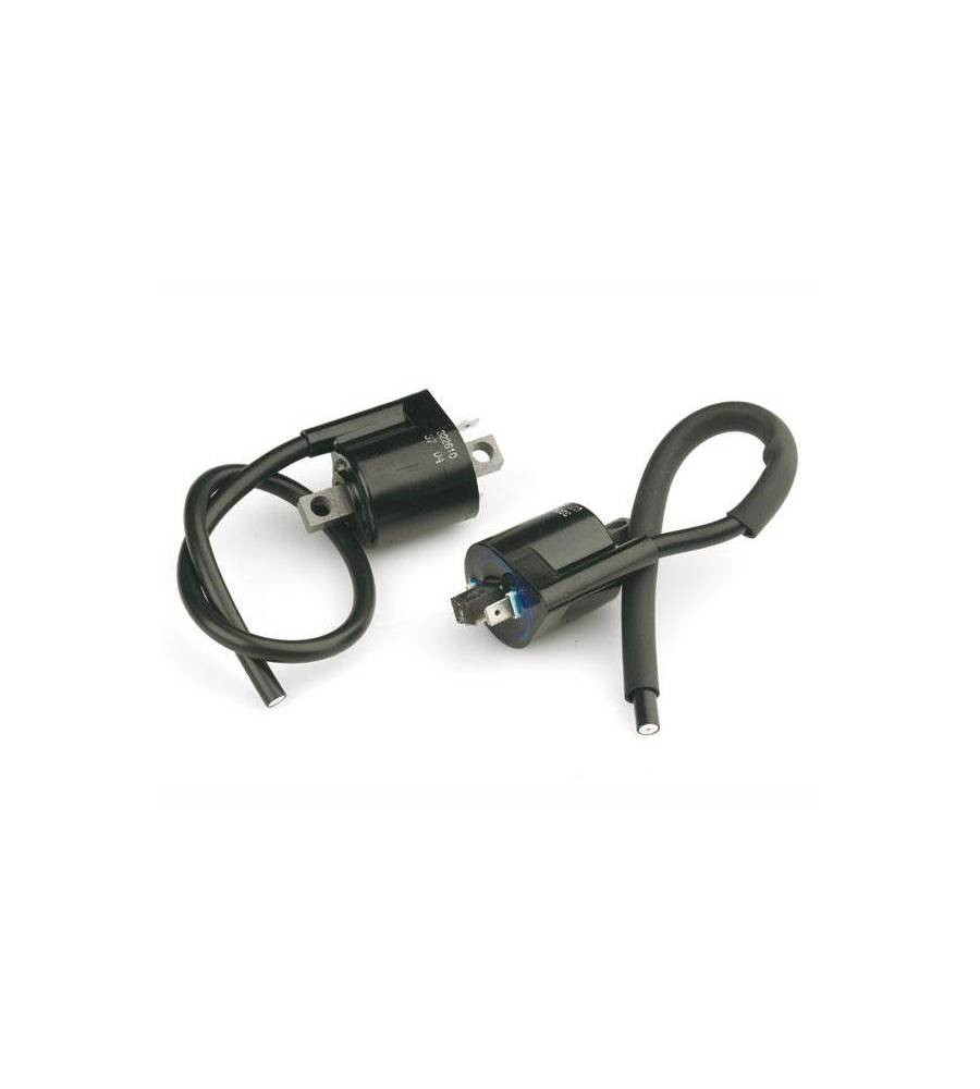 Bobine d'Allumage pour 125 Doodo (2000)