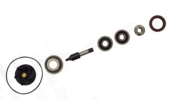 Kit réparation de pompe à eau pour 250 Atlantic (03-08) 300 Atlantic (10-11)