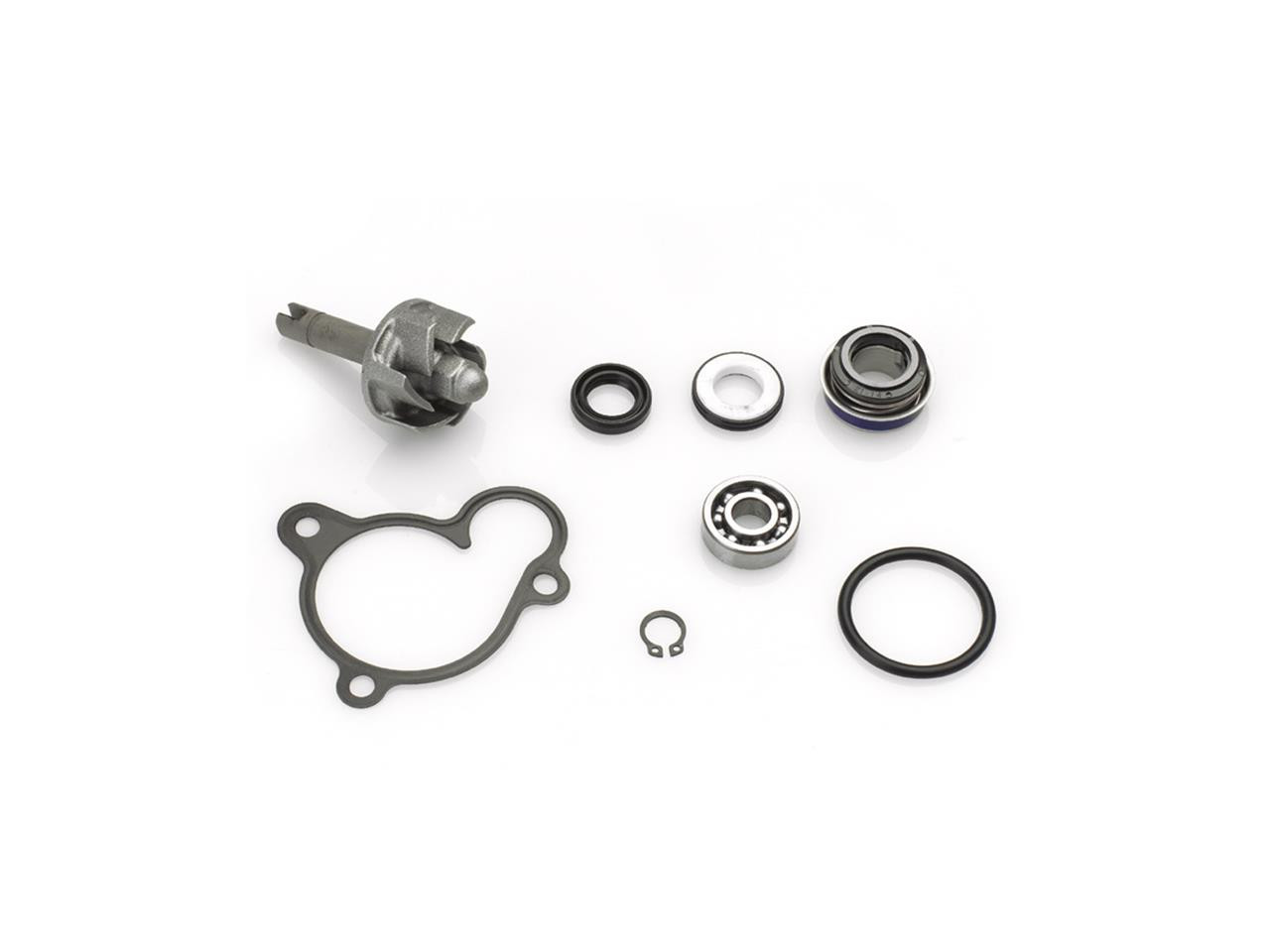 Kit réparation de pompe à eau pour 250 Leonardo (99-04)