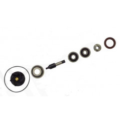Kit réparation de pompe à eau pour Vespa 250 GTS (05-13)