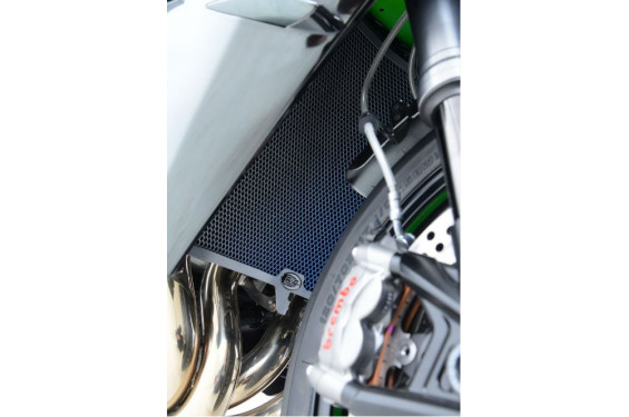 Protection de Radiateur Titane R&G pour BMW S 1000 R (14-16) - RAD0087RACINGTI