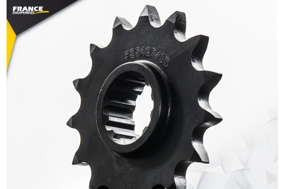 Kit Chaine Moto FE pour Hornet 600 (98-01) Kit Chaine Moto FE pour Hornet 600 (98-01)